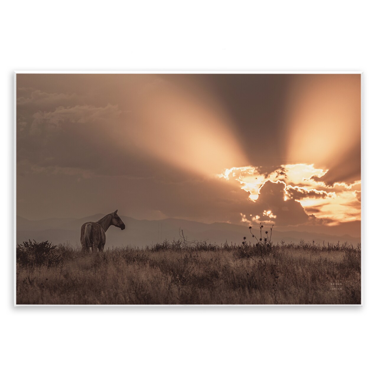Stupell Industries Faded Sunset with Horse Wall Plaque Art Design by Nathan Larson